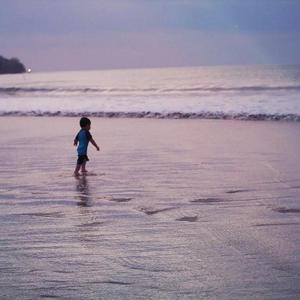 火影二创免费观看网站
