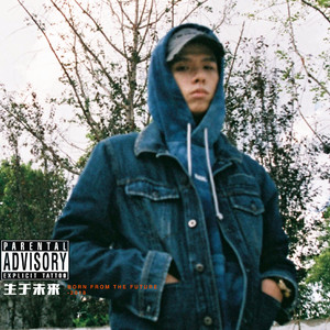 火影二创免费观看网站
