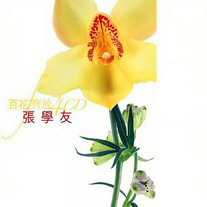 火影二创免费观看网站
