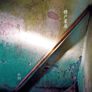 火影二创免费观看网站
